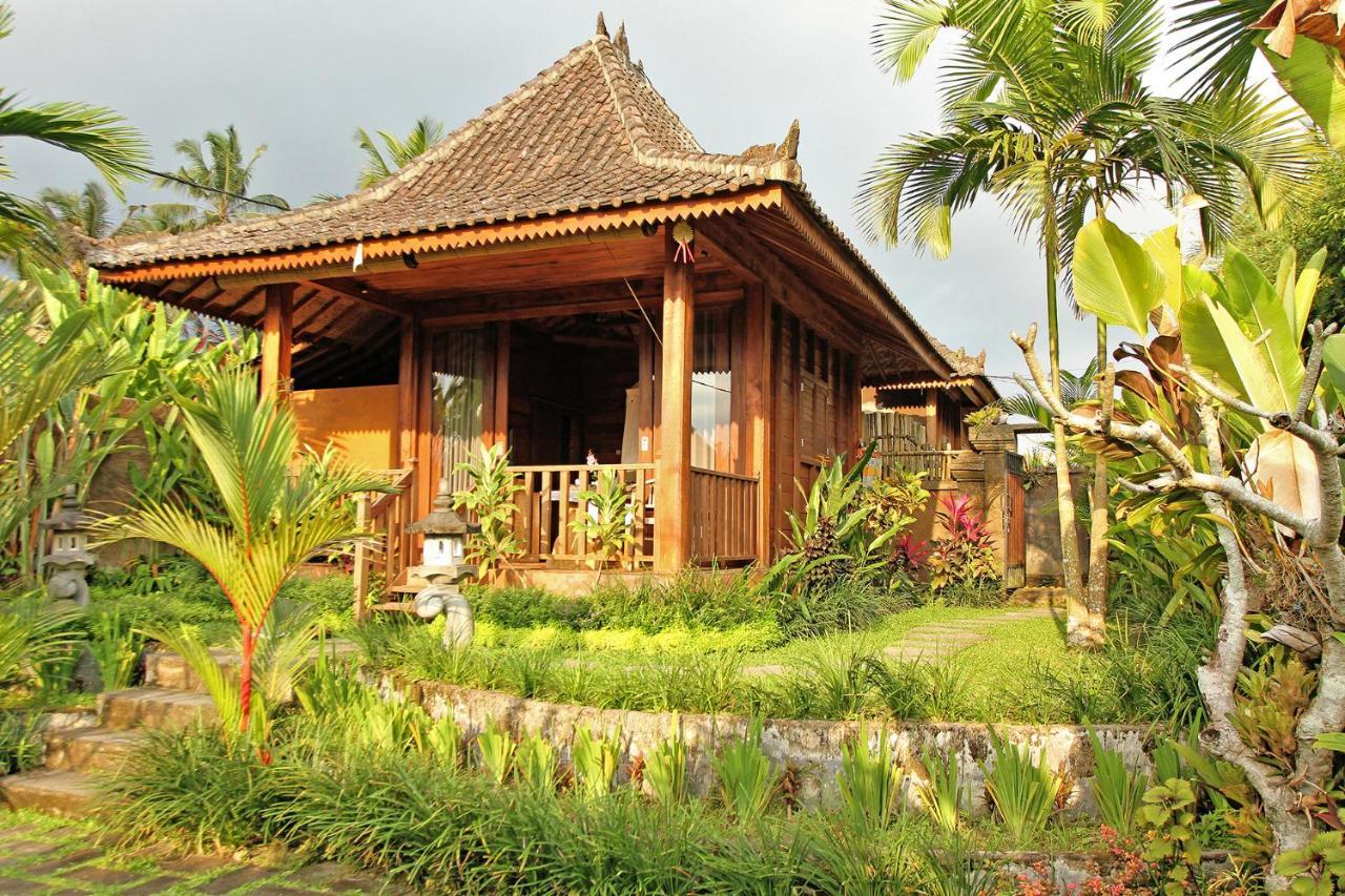 Vinarya Villa Убуд Екстериор снимка